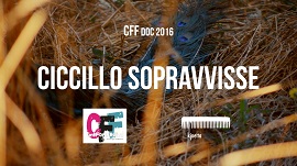 CineFortFesta 2016, il 21 agosto a San Giorgio la Molara: una festa di cinema e gioia per gli otto anni di attivit.