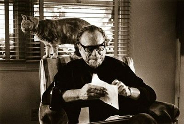 VENEZIA 73 - Hank: 