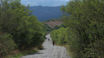 I VOLTI DELLA VIA FRANCIGENA - Con Cineama e Movieday