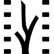 Due film italiani al 38 Festival Internacional del Nuevo Cine Latinoamericano de LHabana