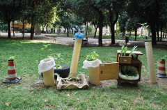 Per il ciclo 