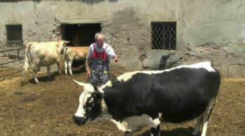 T'AMO PIO BOVE - Chi custodir la montagna?