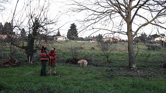 #CA20 - IL TEMPO DELLE API, esperimento in corso