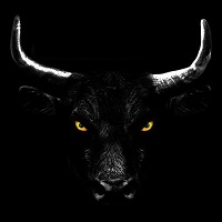 VACCHE RIBELLI - Animali allo stato brado