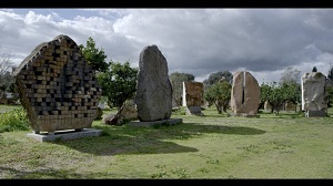 BORN OF STONE - Al 31 Wine Country Film Festival