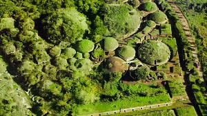CERVETERI FILM FESTIVAL I - Il cinema alla Necropoli della Banditaccia