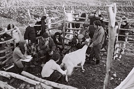 DALLA QUERCIA ALLA PALMA - Proiezione a Sassari