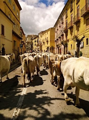 C'ERA UNA VOLTA LA TERRA - Quando eravamo contadini