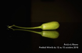 ANUU-RU ABORO FILM FESTIVAL 12 - 