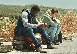 ALICE NELLA CITTA' XVI - Il programma del 24 ottobre