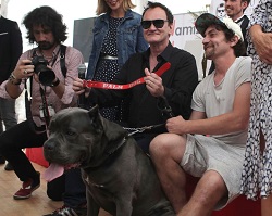 CANNES 72 - Il Palm Dog a Brandy di 