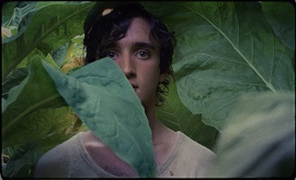 LAZZARO FELICE - Terzo film pi bello del 2019 per il The Guardian