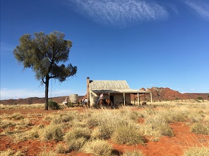VIAGGIO IN AUSTRALIA - Al MIC di Milano alla scoperta del Continente