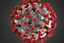 CORONAVIRUS - IL RACCONTO DI UN AUTORE