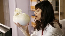 L'ALLIEVA 2 - 4.161.000 telespettatori per la replica della prima parte