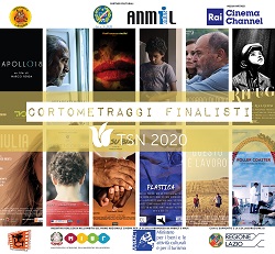 TULIPANI DI SETA NERA 13 - I cortometraggi finalisti
