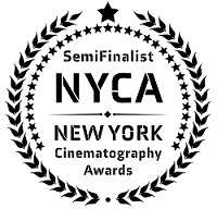 FLAVIO SCIOLE' - Tra i festival di Praga e New York