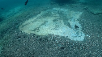 BAIA - I RESTAURI DEL PARCO ARCHEOLOGICO SOMMERSO - Su Rai 5 il 23 aprile