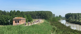 CINEMAMBIENTE IN VALCHIUSELLA - Anticipazioni dall'edizione 2021