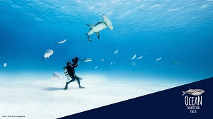 OCEAN FILM FESTIVAL ITALIA 5 - 13 tappe dal 7 al 26 ottobre