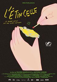 CINEMAMBIENTE 24 - 