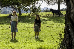 FESTA DEL CINEMA DI ROMA 16 - Il programma del 15 ottobre