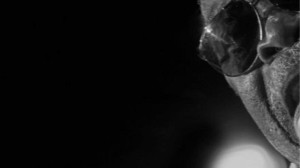 A SOUL JOURNEY - Il 23 novembre in seconda serata su Rai5