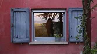 TORINO FILM FESTIVAL 39 - Oggi in programma 