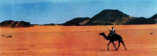 CERVINO CINEMOUNTAIN 25 - In concorso 