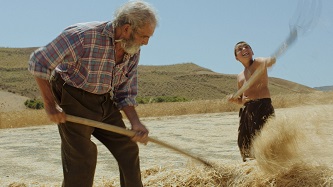 VENEZIA 79 - 