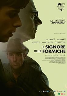 IL SIGNORE DELLE FORMICHE - Aumentano gli schermi