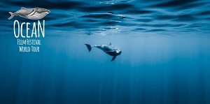 OCEAN FILM FESTIVAL ITALIA 6 - In programma 