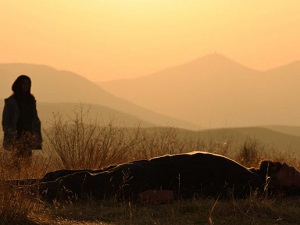 ANAC - Al fianco dei cineasti iraniani