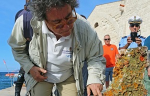 TAORMINA-NAXOS ARCHEOFILM 1 - Dal 14 al 17 luglio