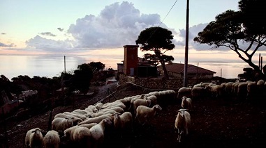GORGONA - Il film di Antonio Tibaldi al cinema dal 6 ottobre