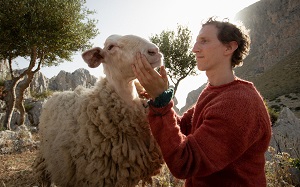 FESTA DEL CINEMA DI ROMA 18 - Il programma del 26 ottobre