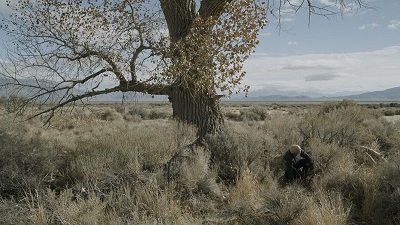 TFF41 - Andrea Gatopoulos: 