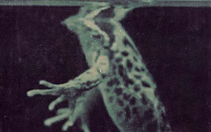 DAL PIANETA DEGLI UMANI - Il 18 maggio su Rai Storia per il ciclo Documentari dAutore