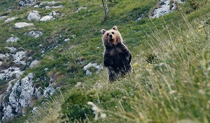 CINEMA ASTRA FIRENZE - Riapre il 26 agosto dopo la pausa estiva