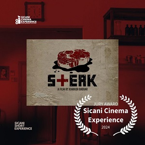 SICANI CINEMA EXPERIENCE 1 - Vince 