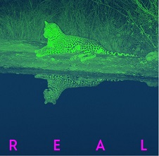 REAL - Nei cinema dal 14 novembre