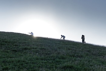 BIF&ST 16 - PAURA DELL'ALBA: tra storia e performance contemporanea
