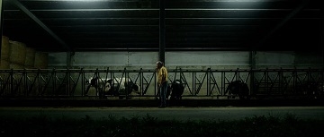 BRENTA CONNECTION - Al cinema dal 12 aprile
