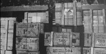 VARESE ARCHEOFILM 8 - I Vincitori