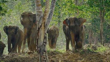 SONDRIO FESTIVAL 39 - I vincitori