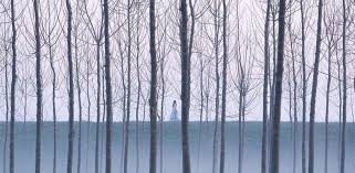 LA GRAZIA - Supera i 3 milioni d'incasso