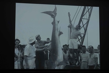 ART CINEMA CITY 2026 - 