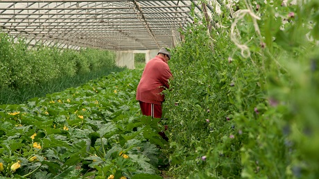 TRE VITE - Il potere trasformativo dell�amore