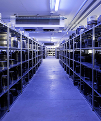 CINETECA DI MILANO - Si arricchisce il suo patrimonio cinematigrafico