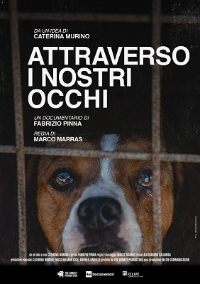 ATTRAVERSO I NOSTRI OCCHI - Il 17 maggio 2026 alle 12.55 su Rai 3